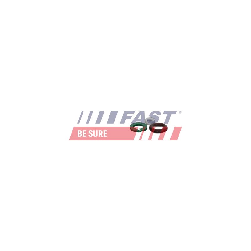 FAST FT01835 Repair Kit, unit injector