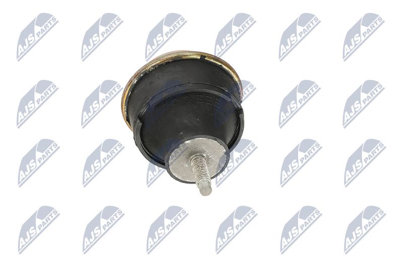 Paigutus, Mootor, NTY ZPS-CT-026