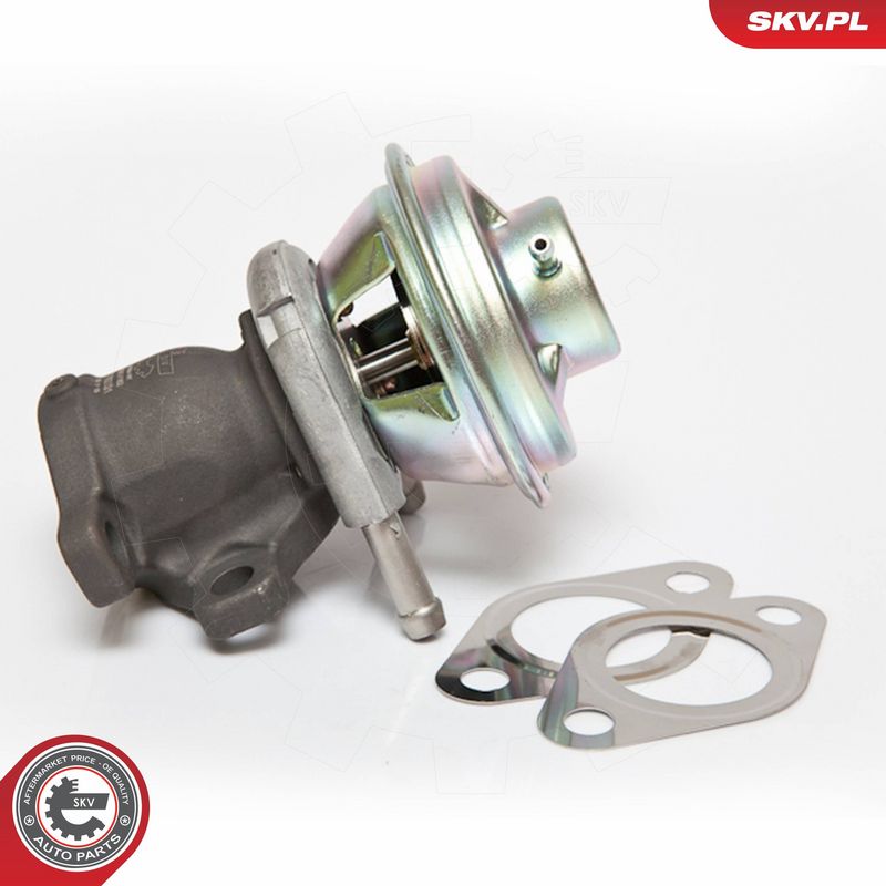 ESEN SKV 14SKV062 EGR Valve