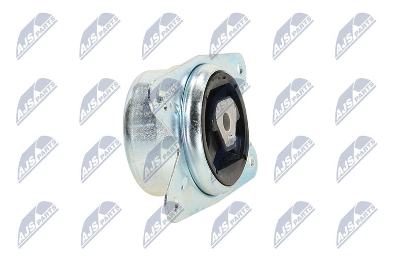 Paigutus, Mootor, NTY ZPS-PL-075