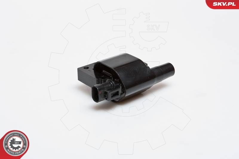 ESEN SKV 03SKV089 Ignition Coil