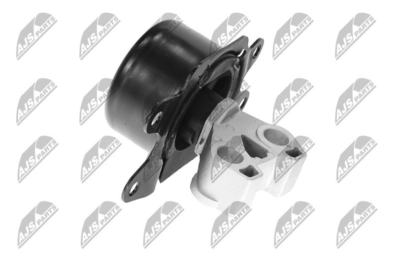 Paigutus, Mootor, NTY ZPS-PL-053