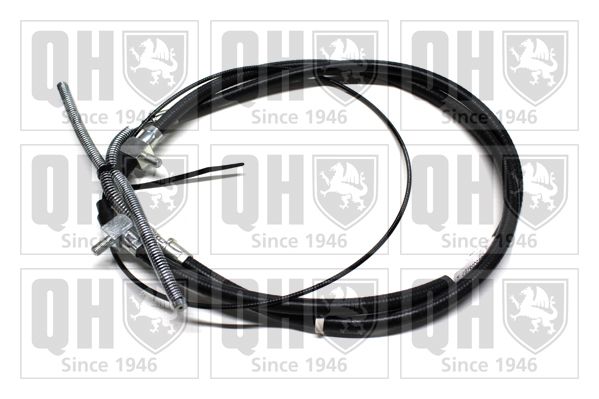 QH_BC854.JPG