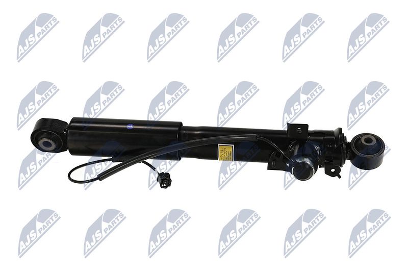 Amort, NTY A-TY-095