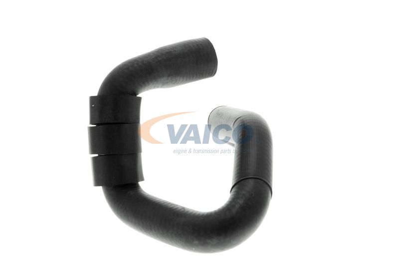 VAICO V10-4664 Talosa Radiator Hose