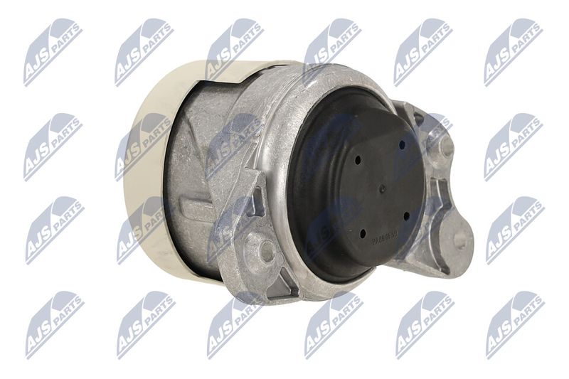 Paigutus, Mootor, NTY ZPS-ME-079