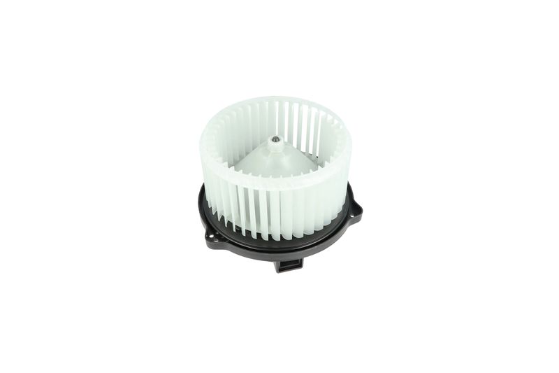 Salongipuhur, NRF 34329