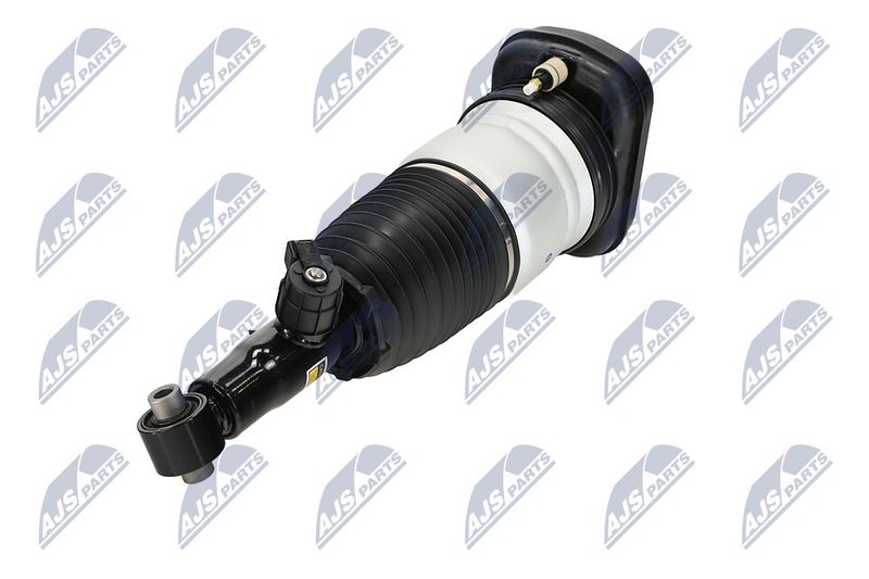 Amort, NTY A-BM-101