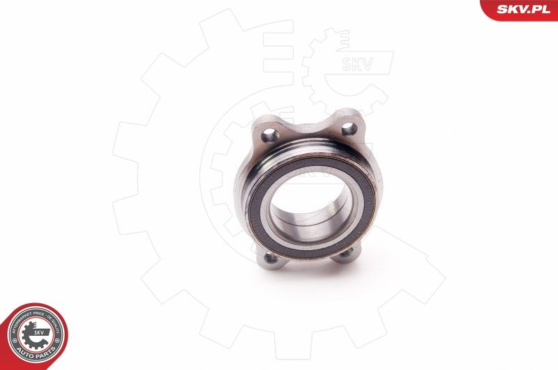 ESEN SKV 29SKV087 Wheel Bearing Kit