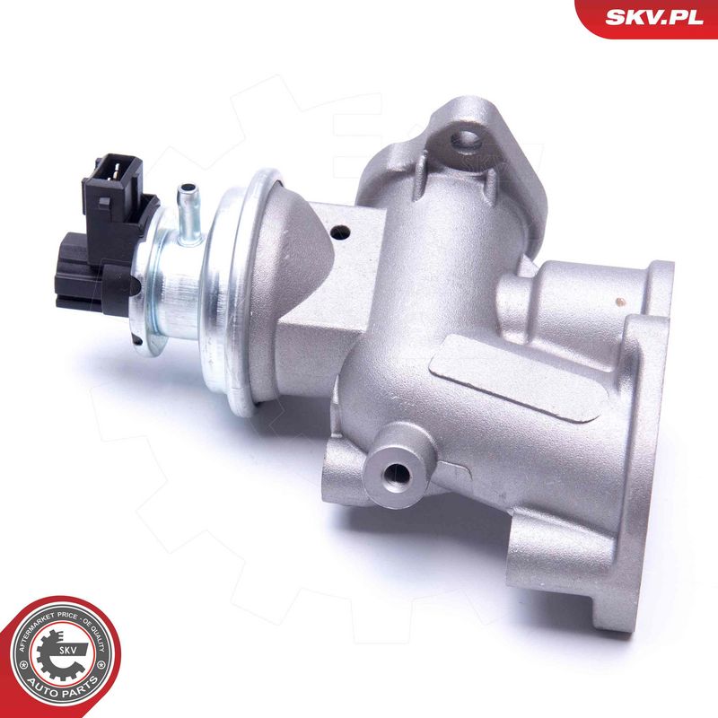 EGR-klapp, ESEN SKV 14SKV181