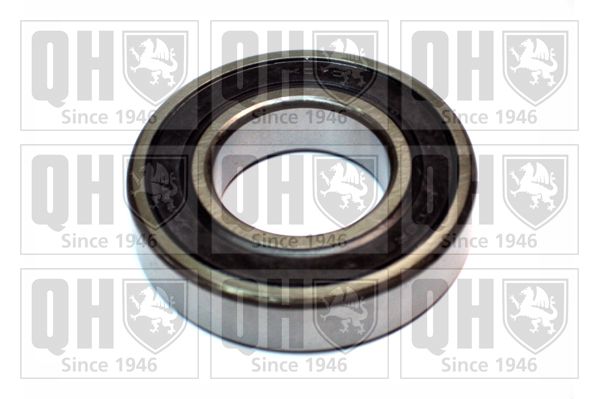 QH_XB9944.JPG