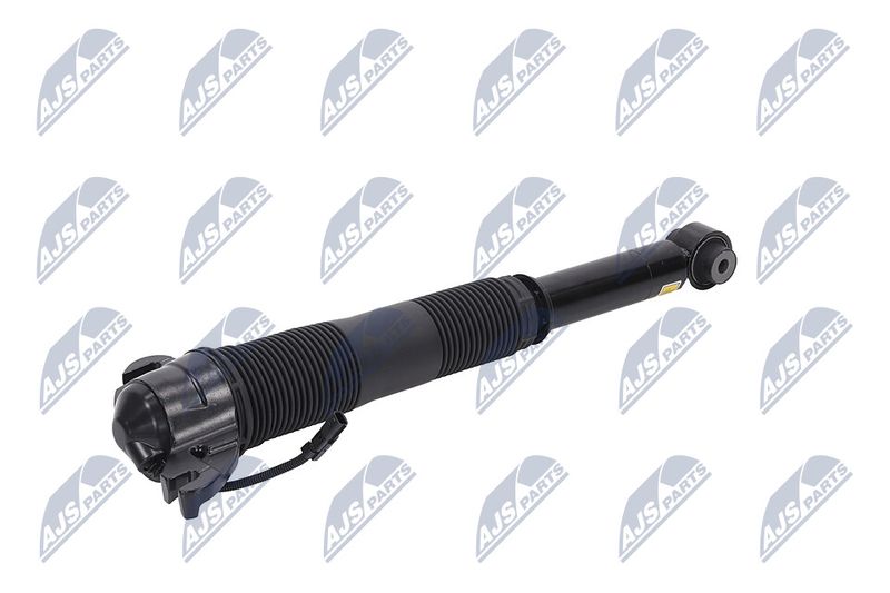 Amort, NTY A-LR-021