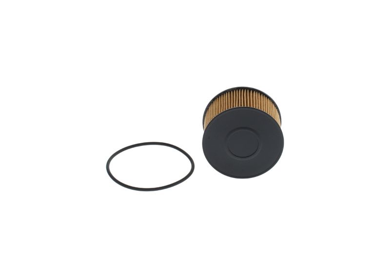 BOSCH F 026 407 231 Oil Filter