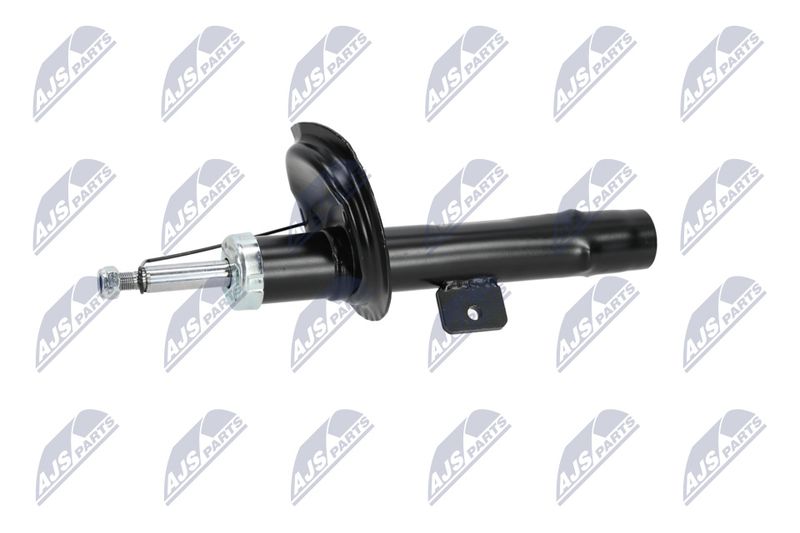 Amort, NTY A-CT-020