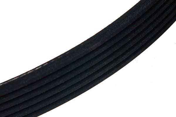 STELLOX 96-01244-SX V-ribbed Belt