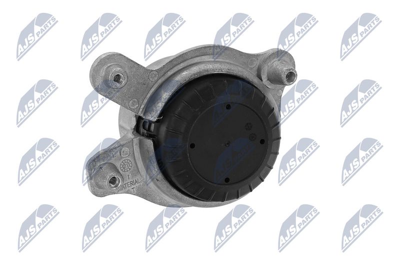 Paigutus, Mootor, NTY ZPS-ME-030