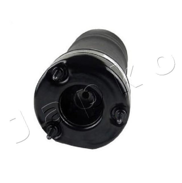 MJAS007_1.JPG