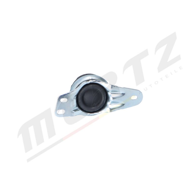 MERTZ M-S5282 Mounting, engine