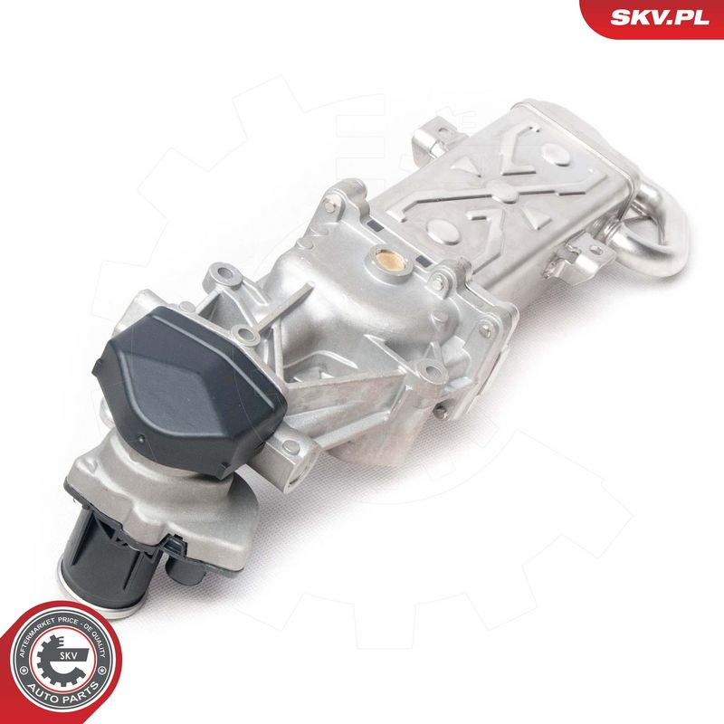 EGR-klapp, ESEN SKV 14SKV094