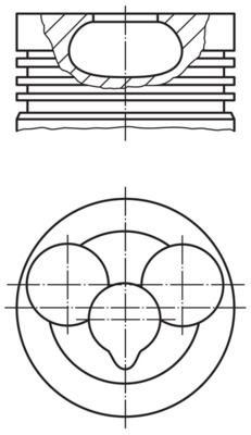 505404.JPG