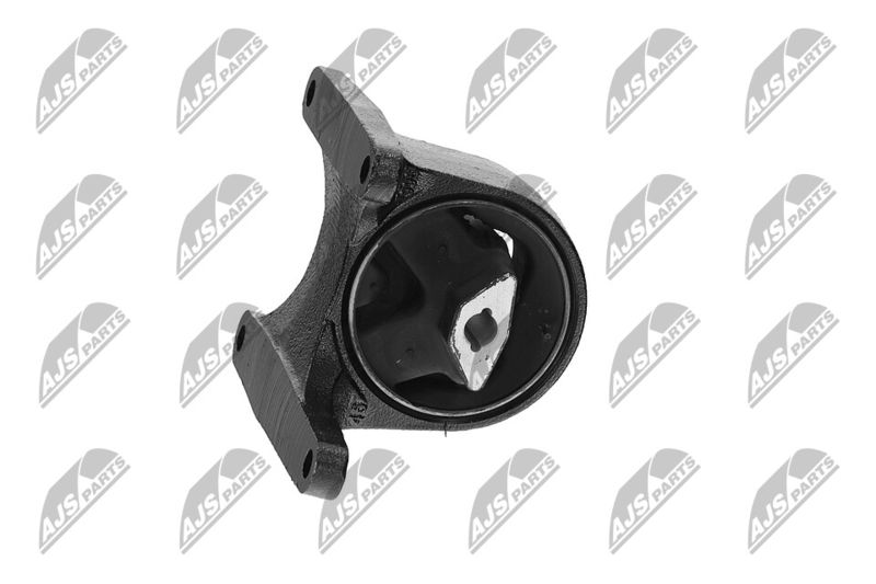 Paigutus, Mootor, NTY ZPS-CH-008