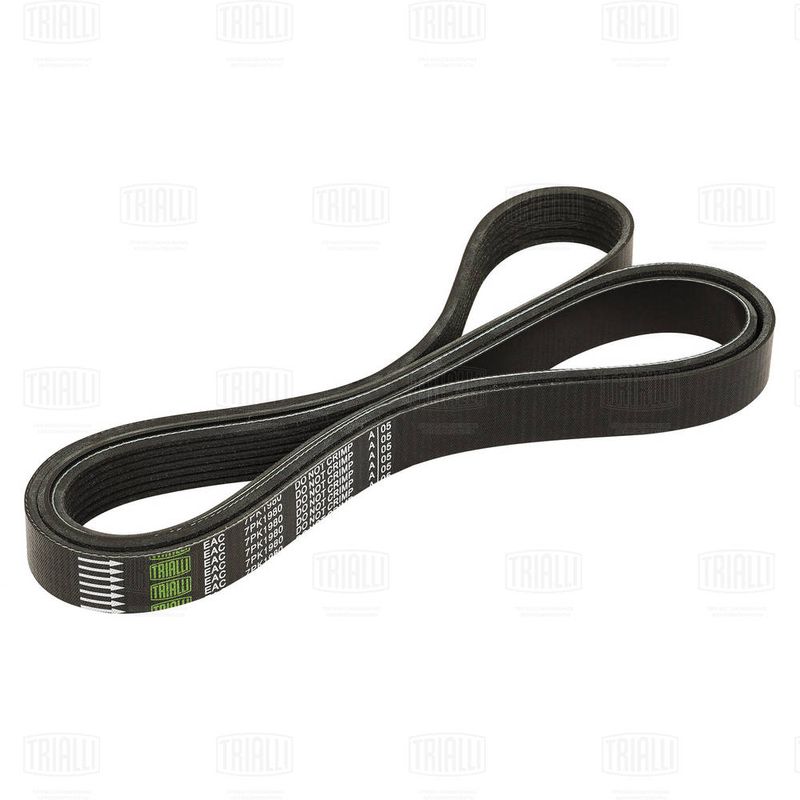 TRIALLI 7PK1980 V-ribbed Belt