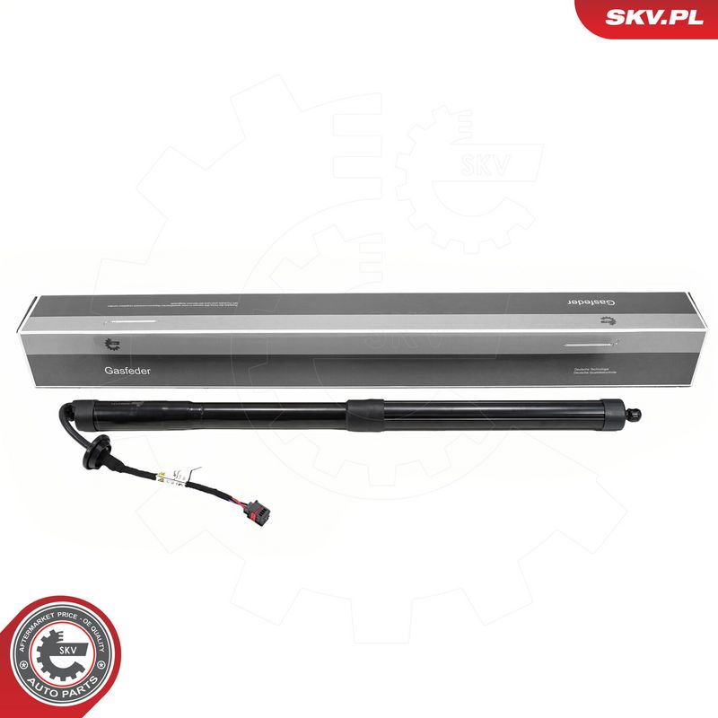 Elektrimootor, tagaluuk, ESEN SKV 52SKV171