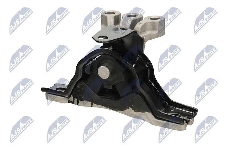 Paigutus, Mootor, NTY ZPS-PL-043