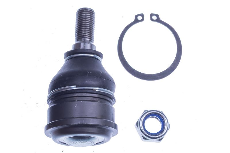 Kande-, juhtliigend, DENCKERMANN D110306