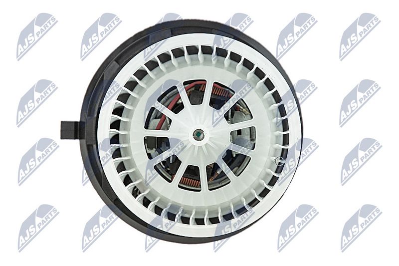 Salongipuhur, NTY EWN-WW-010