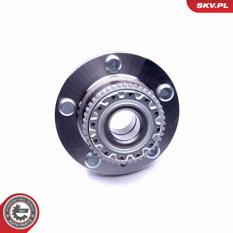ESEN SKV 29SKV199 Wheel Bearing Kit