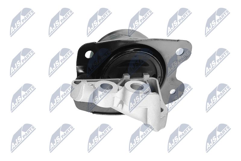 Paigutus, Mootor, NTY ZPS-CH-147