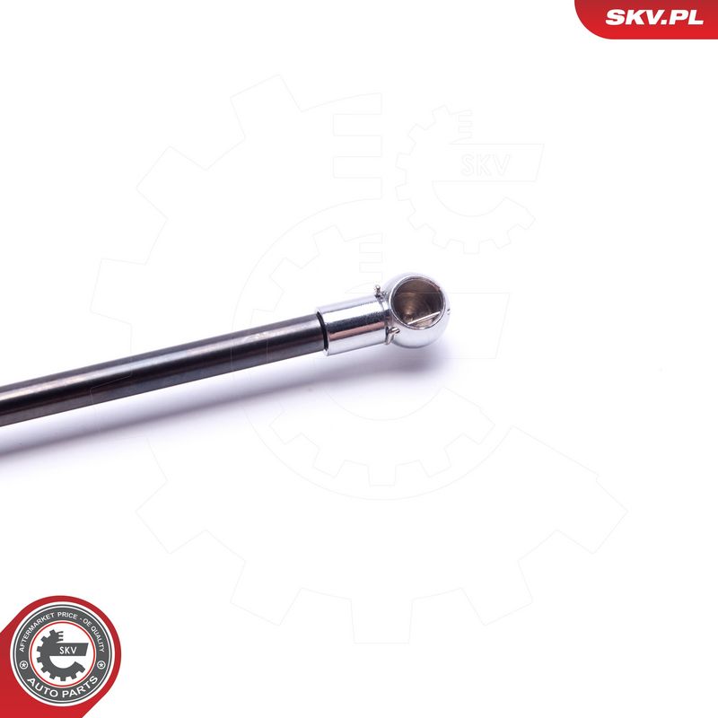 Gaasivedru, pagasi-, veoruum, ESEN SKV 52SKV605