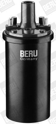 BorgWarner (BERU) ZS119 Ignition Coil
