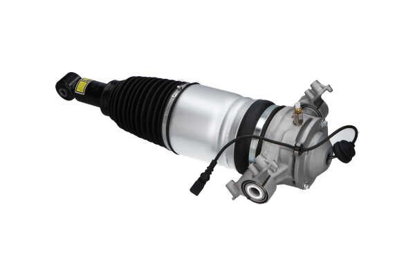 Kavo Parts SAS-10042 Air Suspension Strut
