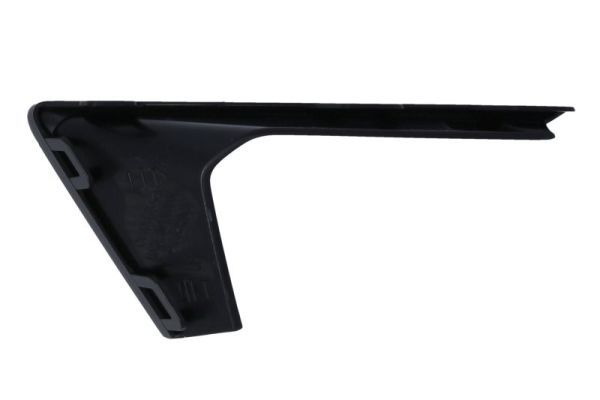 BLIC 6502-07-1196921P Trim/Protection Strip, bumper