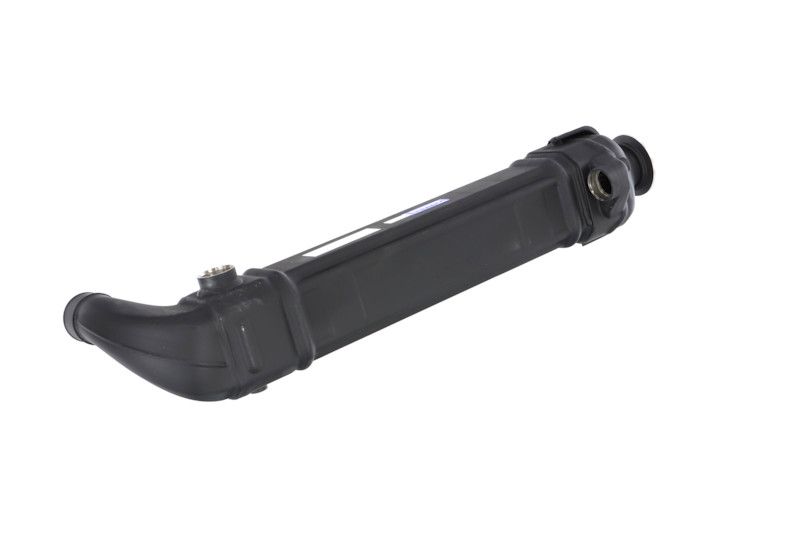 REMANTE 010-001-000025R EGR Module