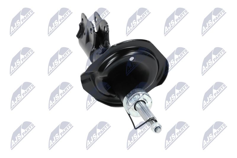 Amort, NTY A-MS-016