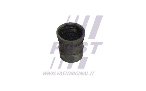 FT48903_1_1.JPG