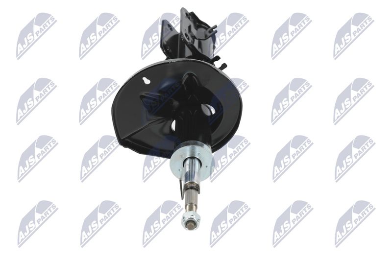 Amort, NTY A-CH-052
