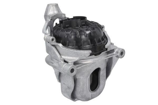 REINHOCH RH11-0176 Mounting, engine