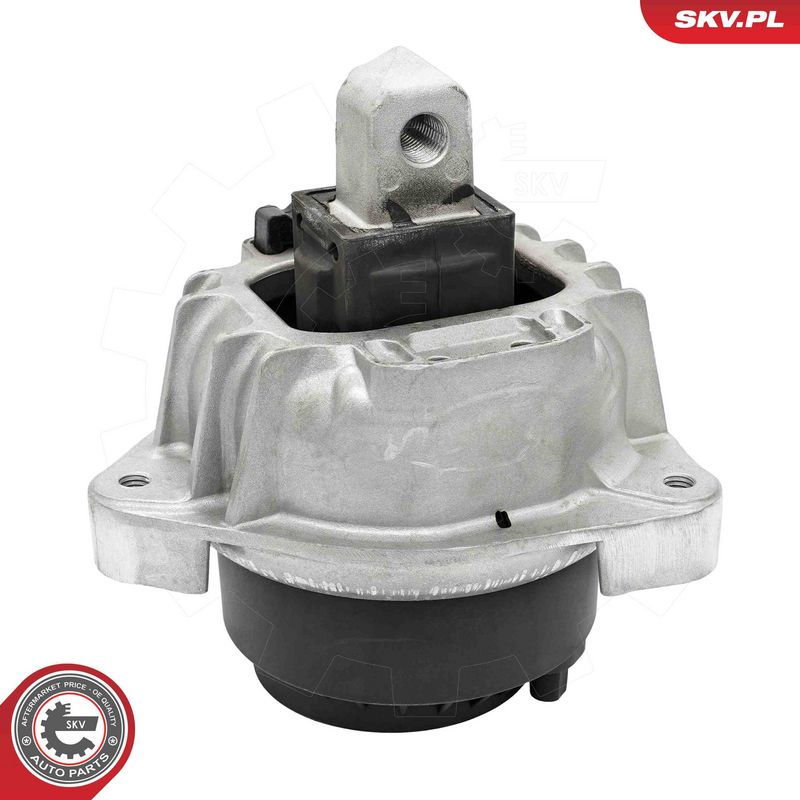 Paigutus, Mootor, ESEN SKV 75SKV131