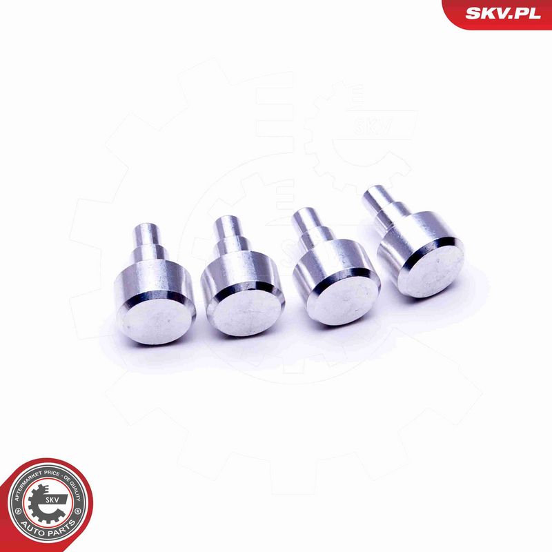 ESEN SKV 49SKV547 Repair Kit, intake manifold module