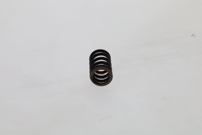 BOSCH 1 424 619 025 Spring