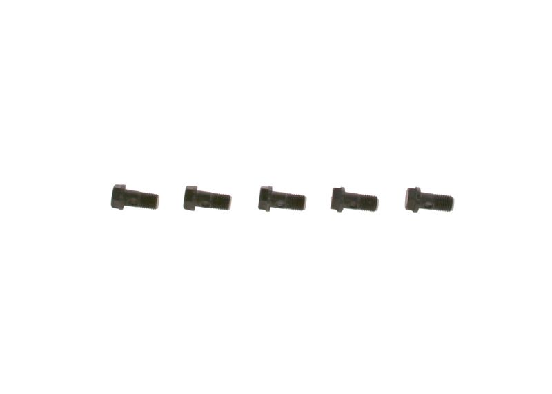 Surub F 019 D01 024 BOSCH