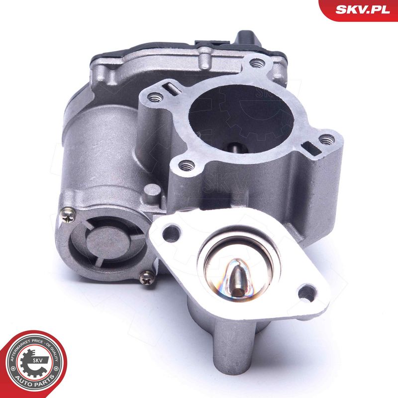 EGR-klapp, ESEN SKV 14SKV184