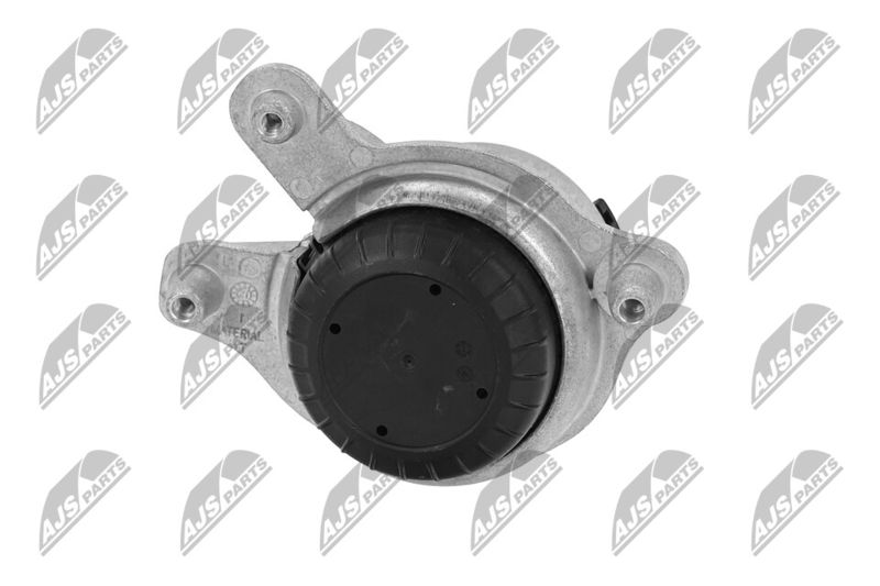 Paigutus, Mootor, NTY ZPS-ME-018