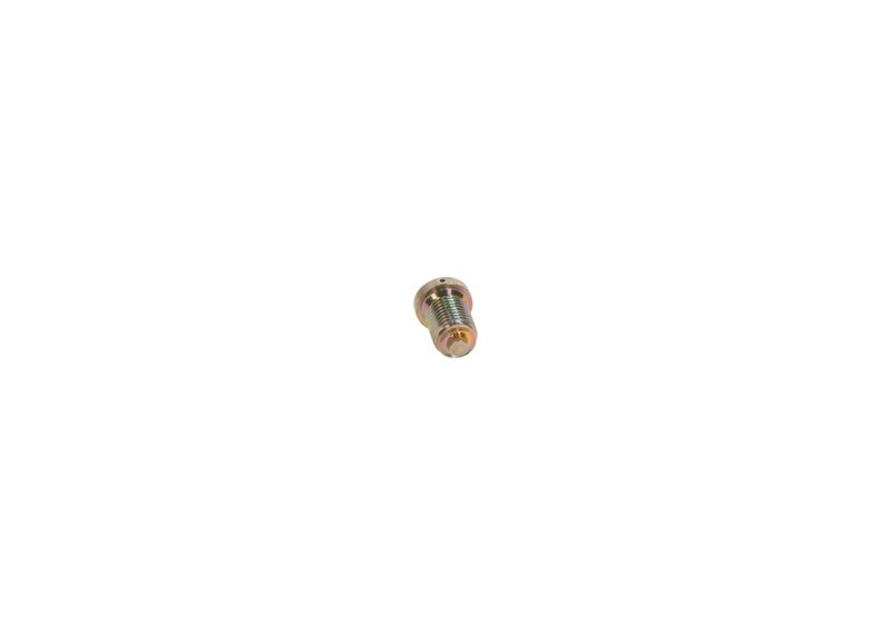 BOSCH 2413462020 Screw