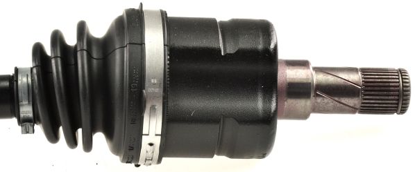 GKND11759C.JPG