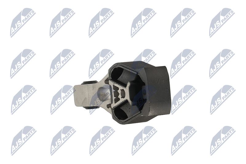 Paigutus, Mootor, NTY ZPS-PE-022